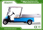 2 Seater Hotel Buggy Car , Electric Utility Golf Carts 100% Waterproof Accelerator