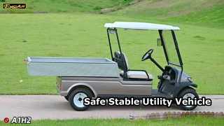 A1H2 샴페인 골드 안전성과 안정성을 갖춘 전기 다목적 유틸리티 차량입니다.